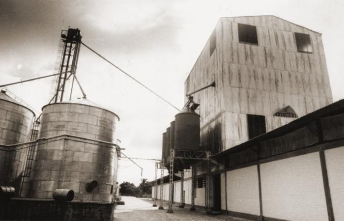 1960 | First Plants